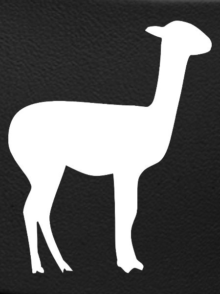 Lama