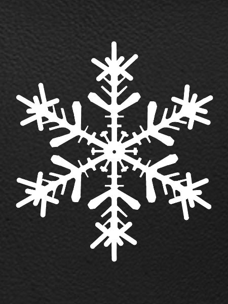 Schneestern