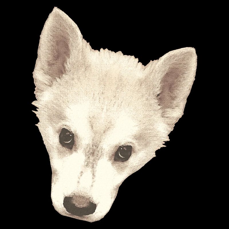 süßes Hündchen, Hundebaby Gesicht wasserpixel