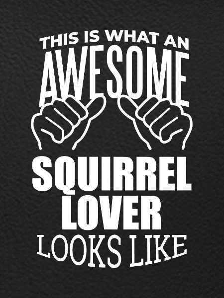 Squirrel Squirrel Squirrel