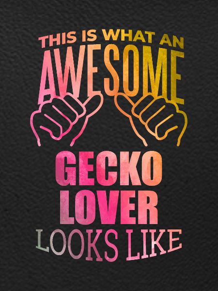 Gecko Gecko Gecko