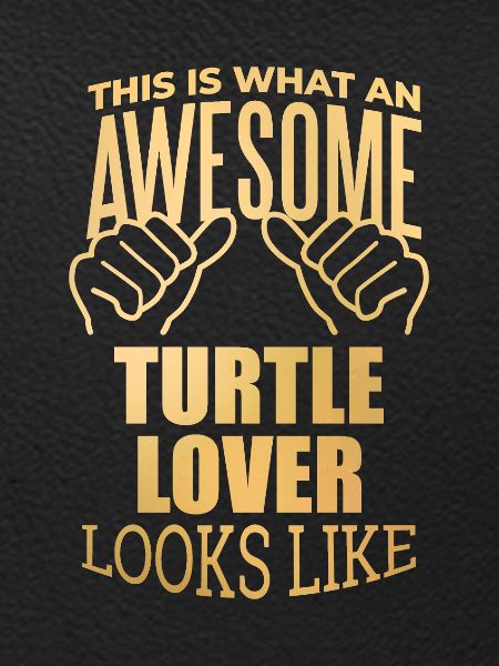 Turtle Turtle Turtle