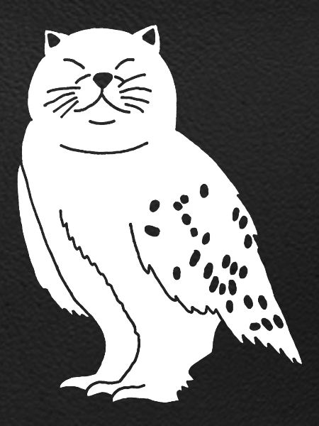 Chat chouette