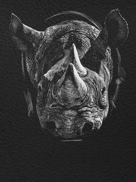 Nashorn