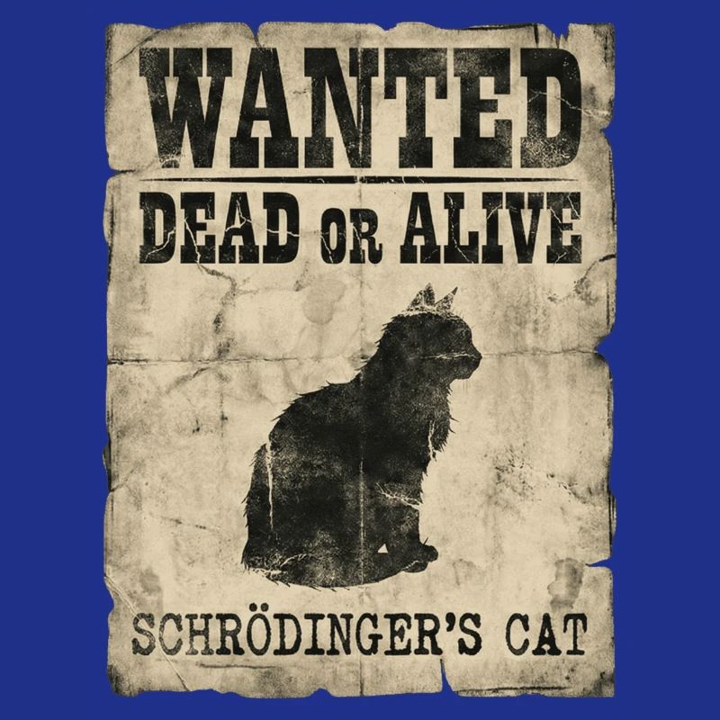 Schrödinger's Cat Wanted Dead Or Alive Physics Pun