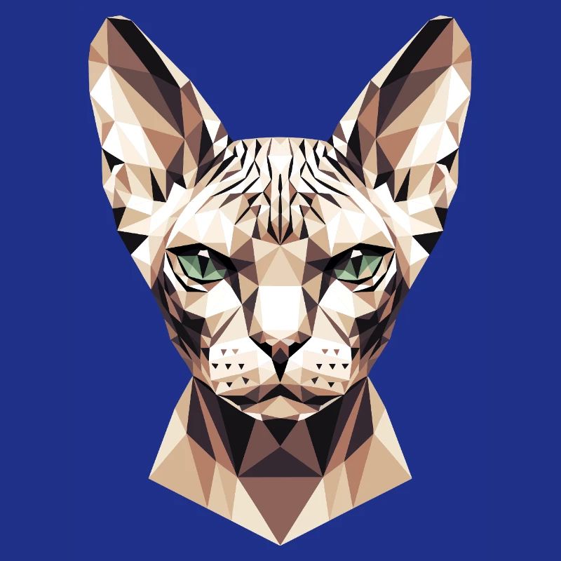 Sphynx Chat Sphynx Chat Chat Canadien Sphinx mignon