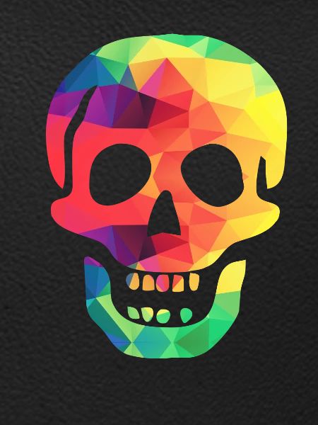 Colourful skull
