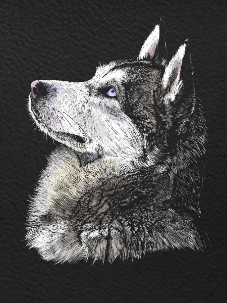Husky