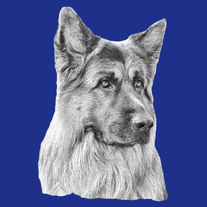 Altdeutscher Schäferhund Deutscher Schäferhund