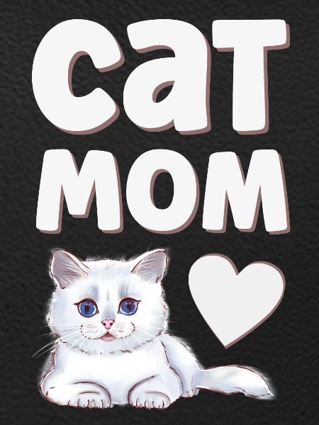 Cat Cats
