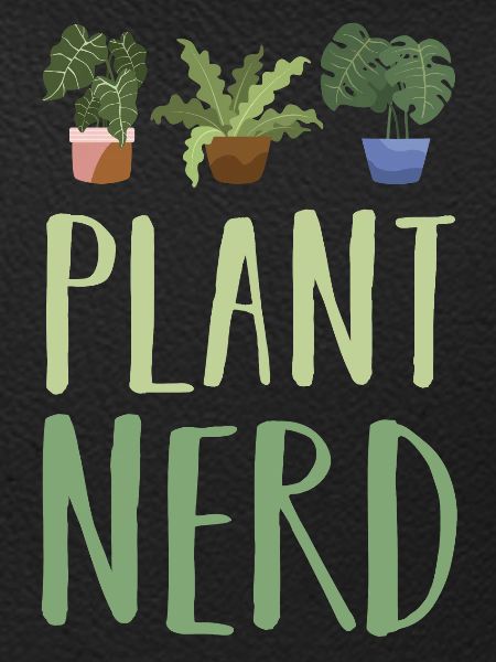 Plant Plants