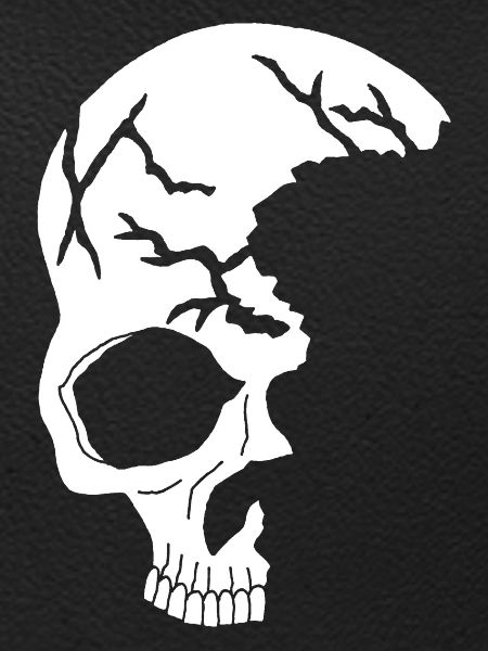 white half skull