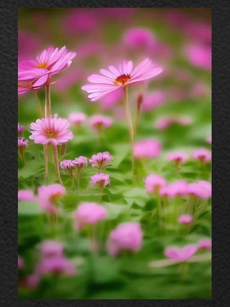 Blumen Kunst