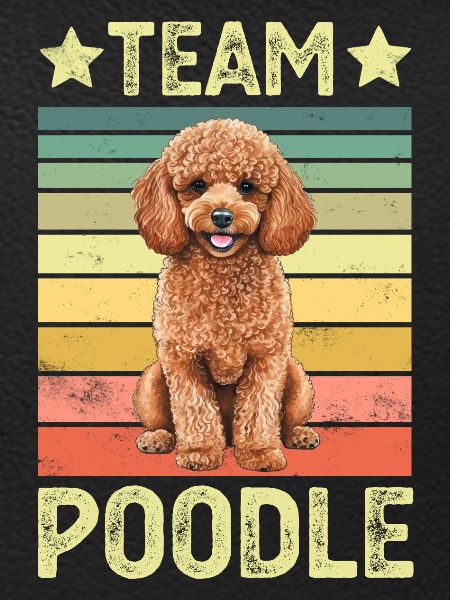 Dog Poodle