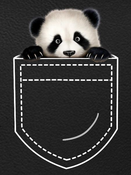 Panda Panda Bear
