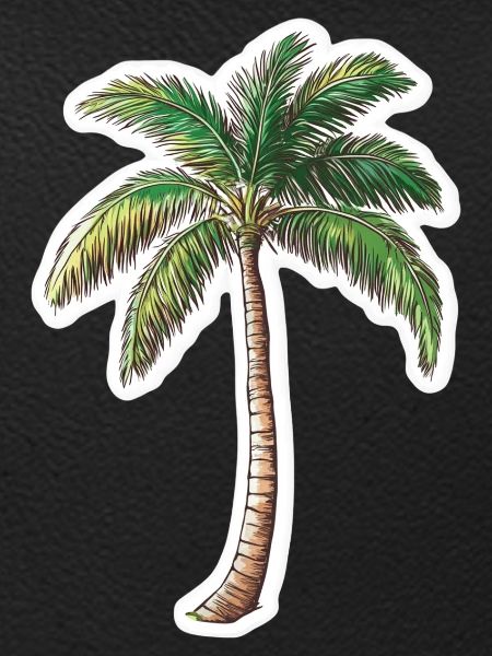 Palm tree