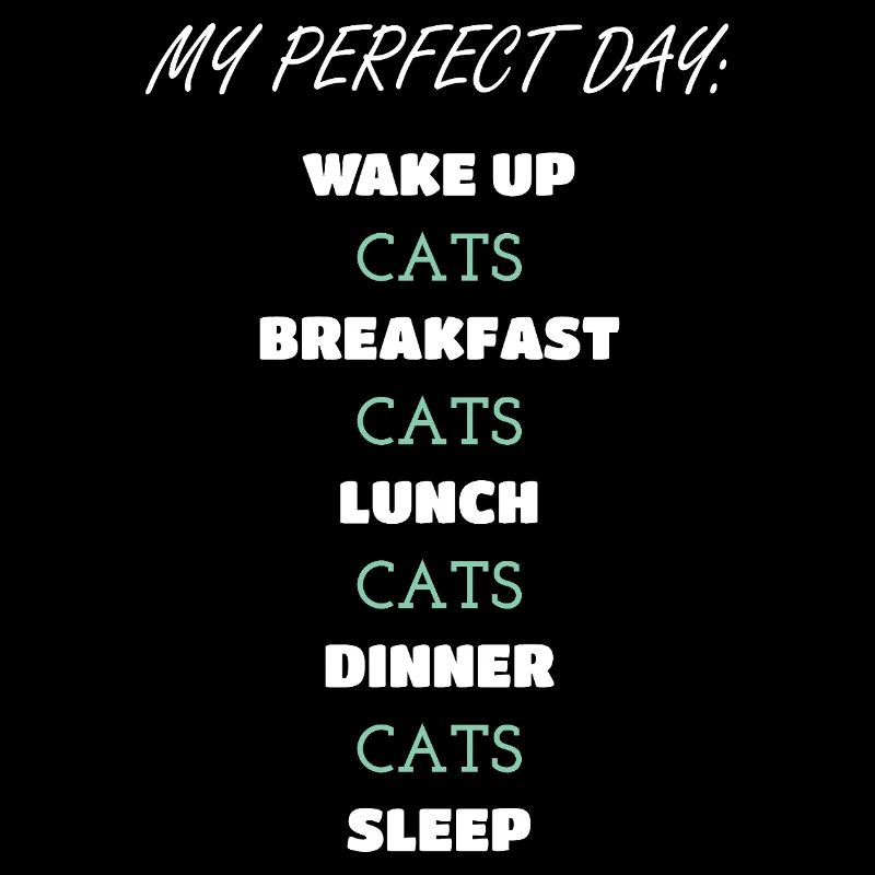 Whimsical Cat Daily Routine Design