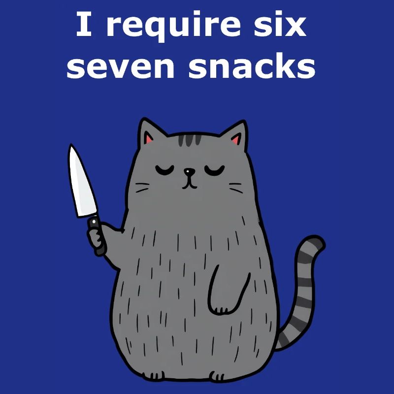 6-7 Mème Internet 6 7 Snack Cat