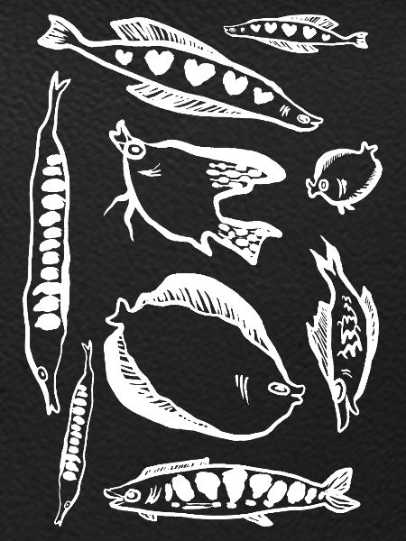 PISCES