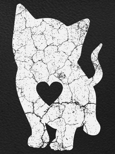 Cat Cats