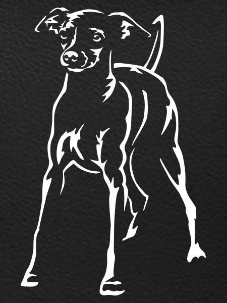 Dwarf Pinscher "Black Edition"