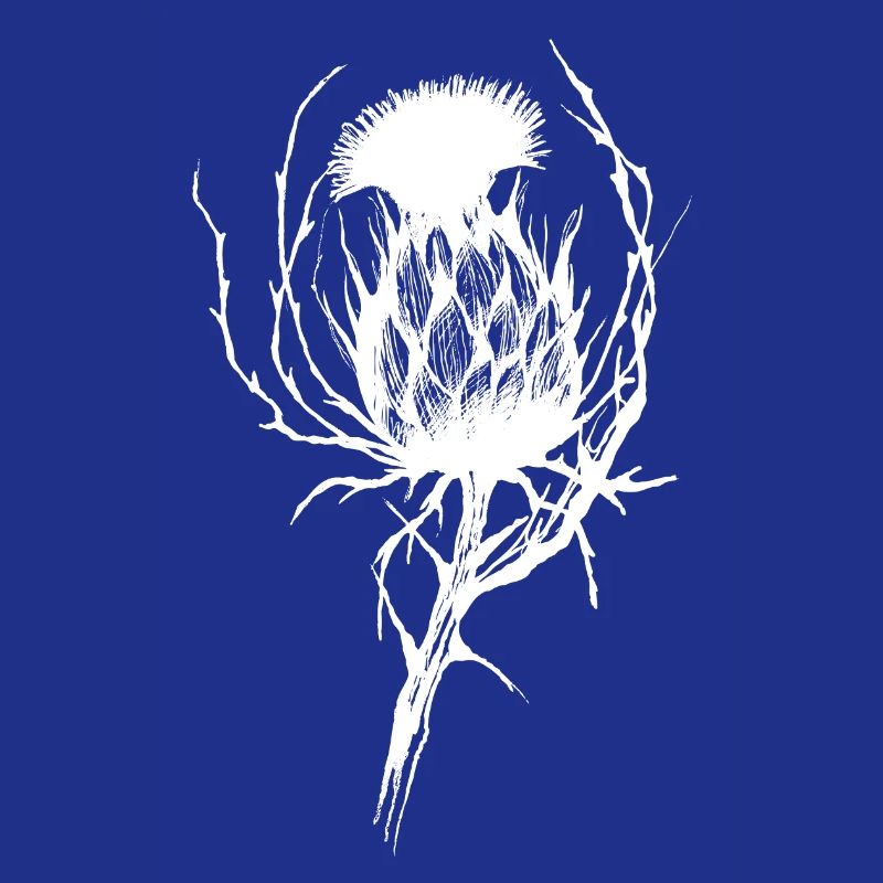 La délicate menace de la fleur de chardon