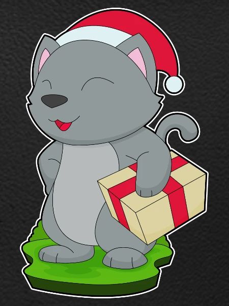 Cat Christmas Package