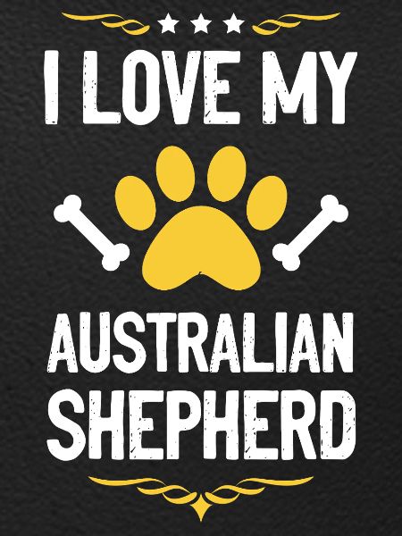Ich liebe Aussie Shepherd
