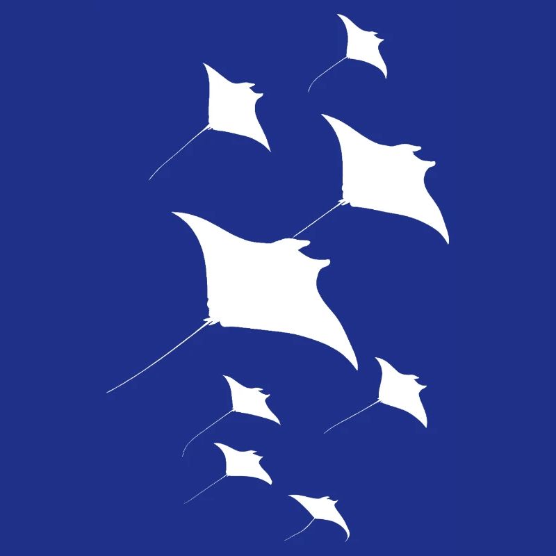 Manta Rochen Teufelsrochen Stachelrochen Taucher
