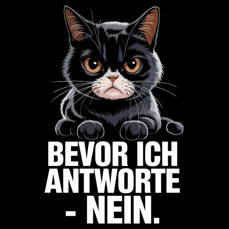  Bevor Ich Antworte Nein Lustige Grumpy Katze