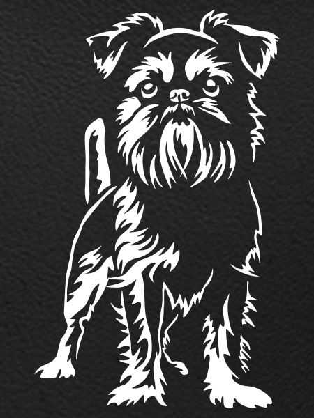Brussels Griffon « Édition Noire »
