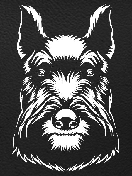 Scottish Terrier
