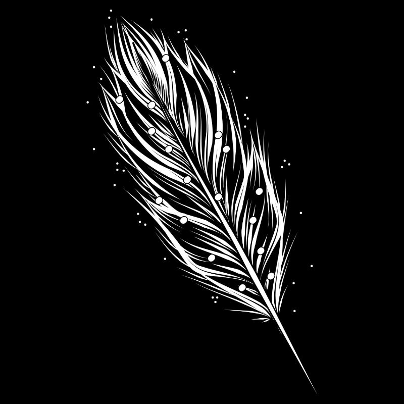 une plume blanche