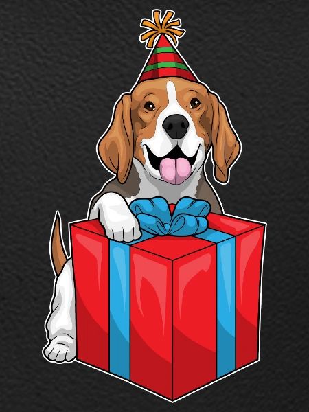 Beagle Birthday Package