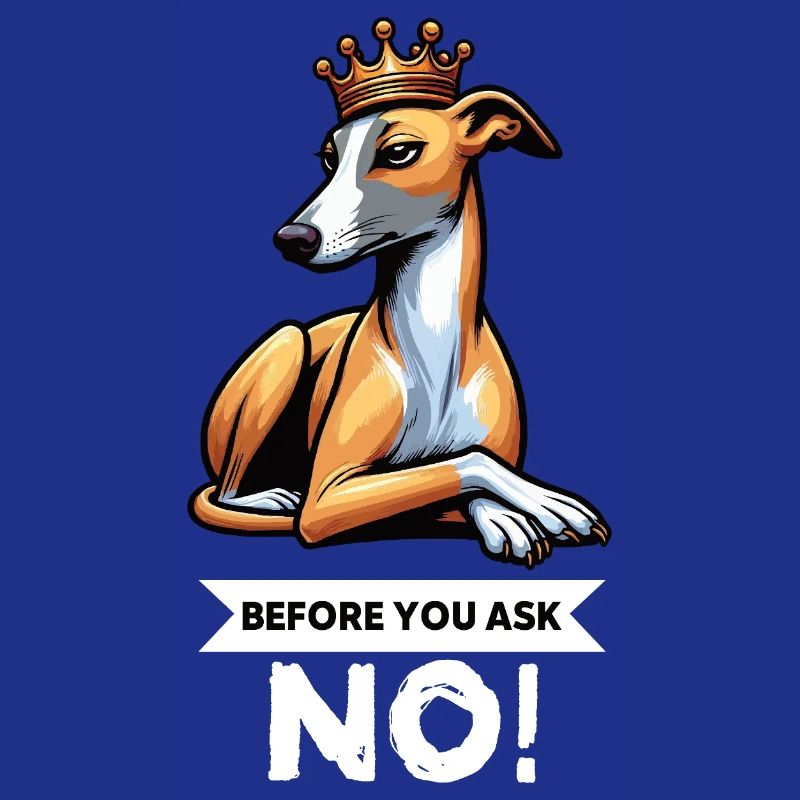 Before You Ask Whippet Greyhound Whippets Greyhounds