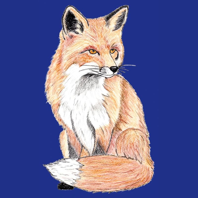 Petit renard des forêts - un compagnon doux