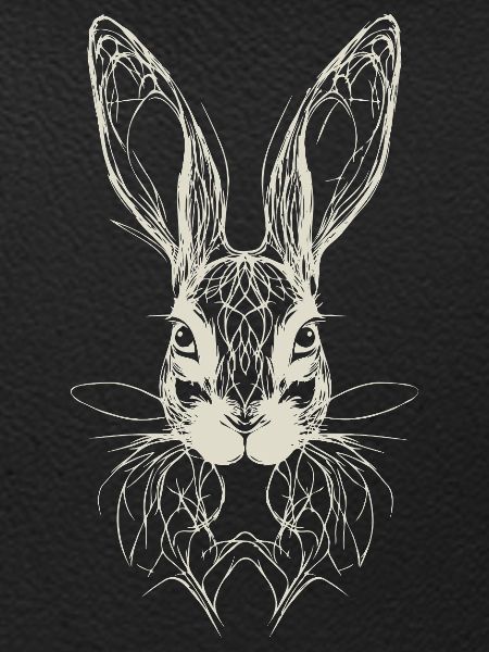 Easter Bunny Bunny Geometry