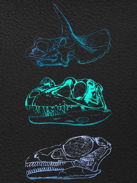 Dinosaurier-Schädel
