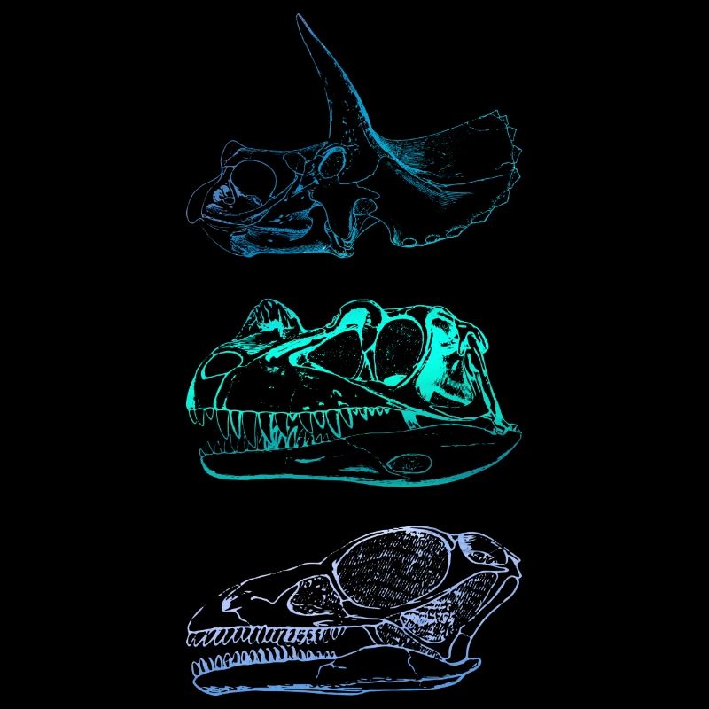 Dinosaurier-Schädel