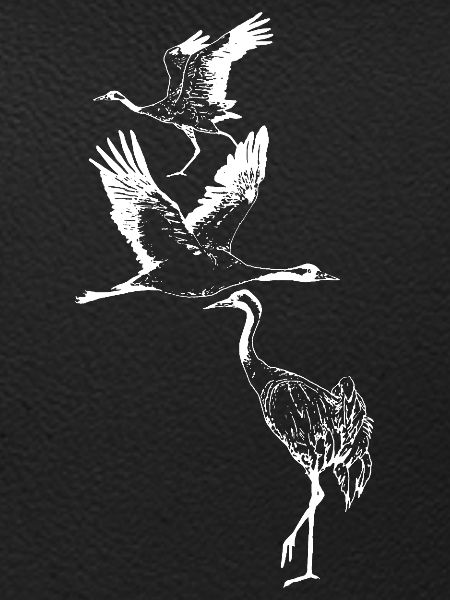 CRANES