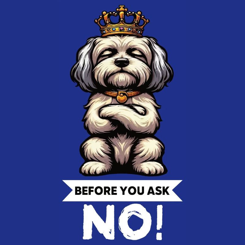 Before You Ask Havanese Havanese Keepers Havanese