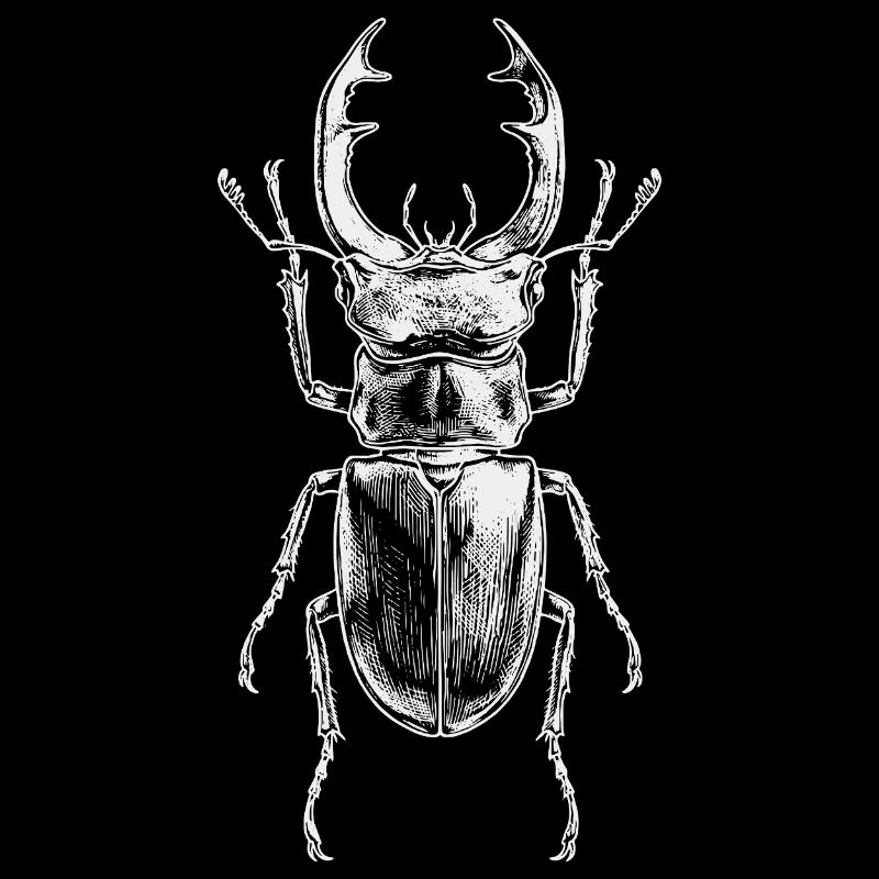 Conception de gros insectes