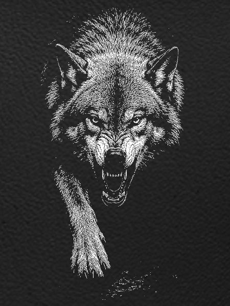 Wolf