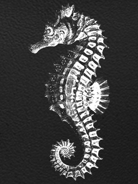 Silhouette complexe d’hippocampe