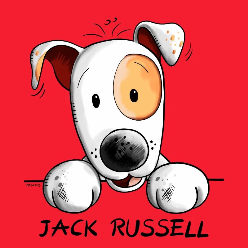 Neugieriger Jack Russell