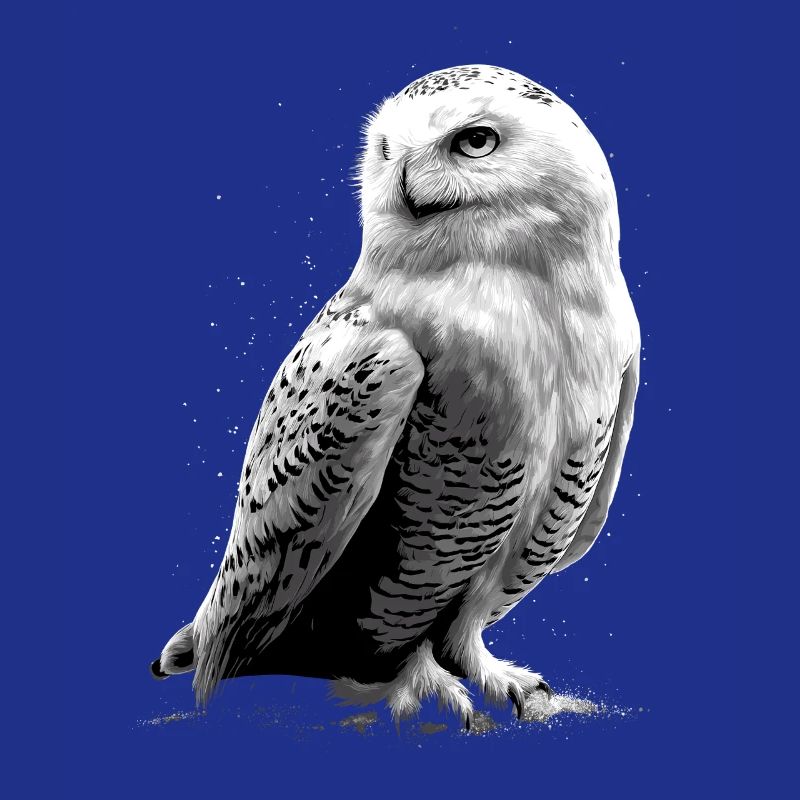Schneeeule Weiße Eule Kauz Uhu Owl Schnee Eulen