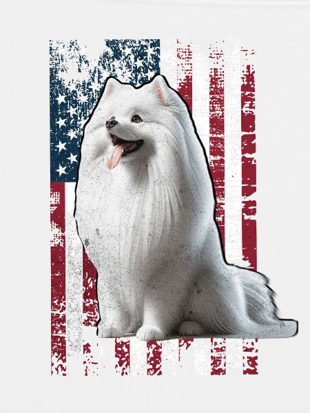 German Spitz US Spitz Zwergspitz