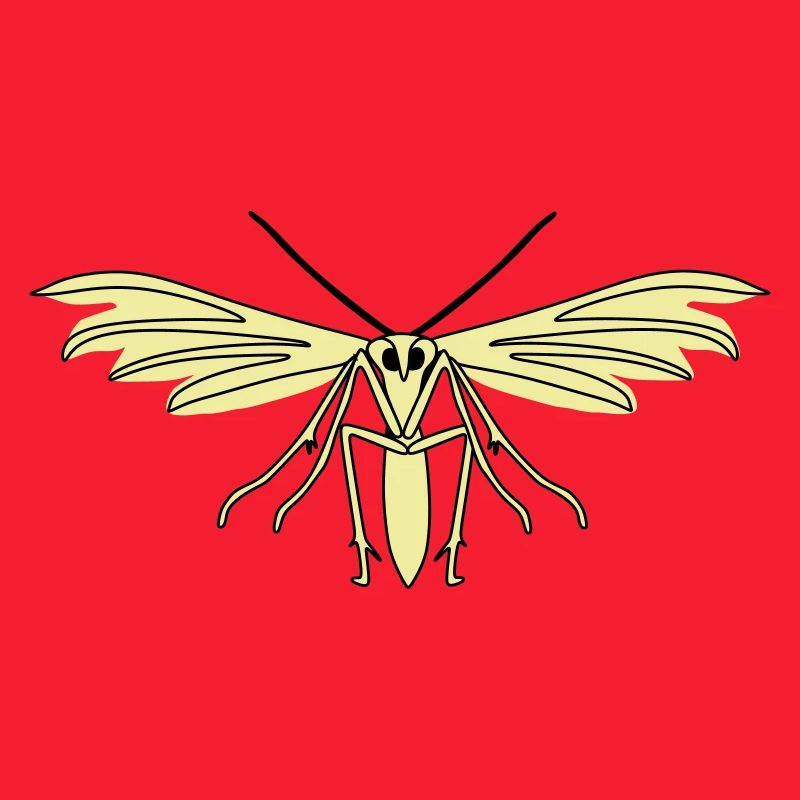 Feather moth