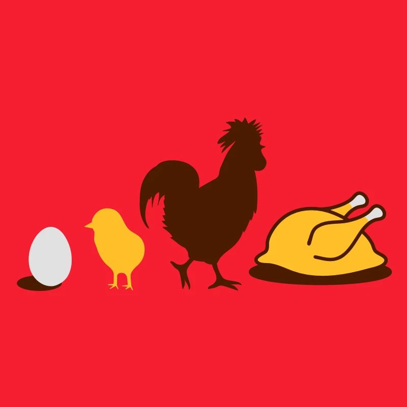 Egg,chick, rooster and chicken poultry Evolution