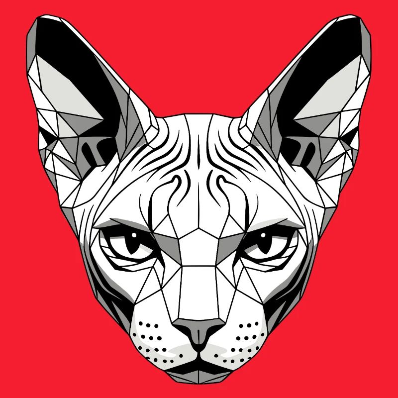 Sphynx Cat Sphynx Cat Canadian Cat Cute Sphinx